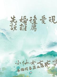 先婚后爱现代小说推荐