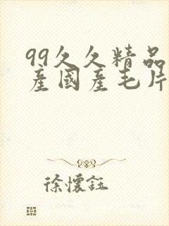 99久久精品国产国产毛片小说