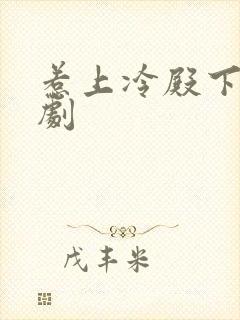 惹上冷殿下电视剧