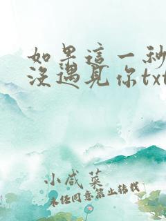 如果这一秒,我没遇见你txt