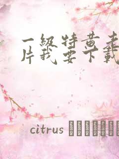 一级特黄老太婆片我要下载