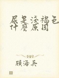 尿是浅褐色的是什么原因