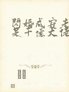 闪婚成宠老公竟是千亿大佬一共多少章