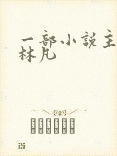 一部小说主角叫林凡