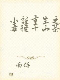 小说重生之将门毒后千山茶客完本