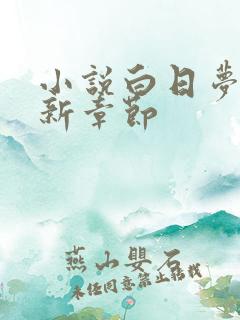 小说白日梦我最新章节