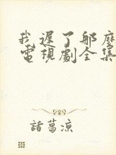 我迟了那么多年电视剧全集免费播放