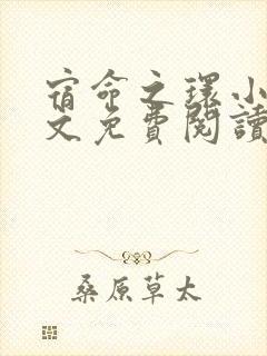 宿命之环小说全文免费阅读无弹窗