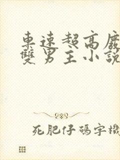 车速超高废文的双男主小说推文