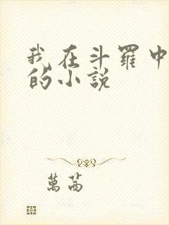 我在斗罗中成神的小说