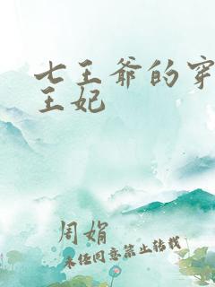 七王爷的穿越七王妃