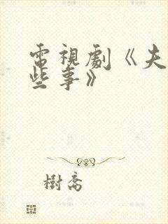 电视剧《夫妻那些事》