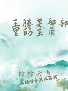 王胜是哪部动漫里的主角