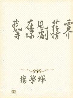 我在风花雪月里等你剧情介绍