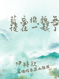 蓝忘机魏无羡最后在一起了吗