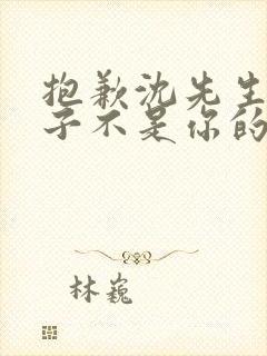 抱歉沈先生,孩子不是你的短剧免费