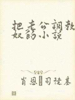 把老公调教成绿奴的小说