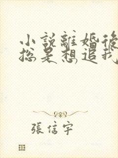 小说离婚后前夫总是想追我