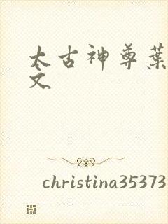 太古神尊叶风全文