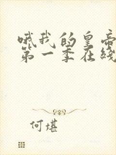 哦我的皇帝陛下第一季在线观看