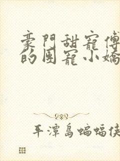 豪门甜宠傅先生的团宠小娇妻