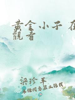 黄金小子 在线观看