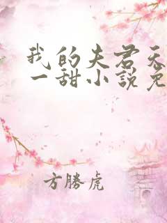 我的夫君天下第一甜小说免费阅读