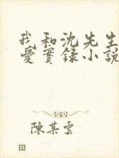 我和沈先生的恋爱实录小说