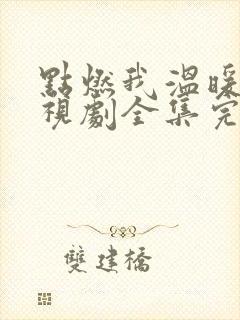 点燃我温暖你电视剧全集完整版免费