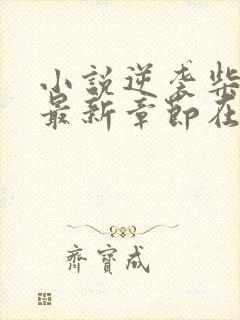 小说逆袭柴鸡蛋最新章节在线