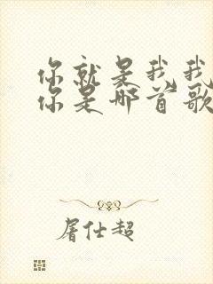 你就是我我就是你是哪首歌的歌词