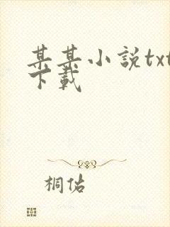 某某小说txt下载