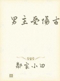 男主受伤古装剧