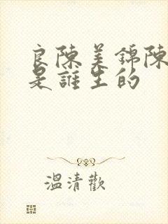 良陈美锦陈玄青是谁生的