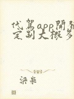 代驾app开发定制大概多少钱