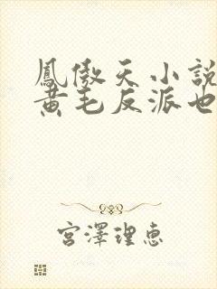 凤傲天小说里的黄毛反派也想要幸福txt