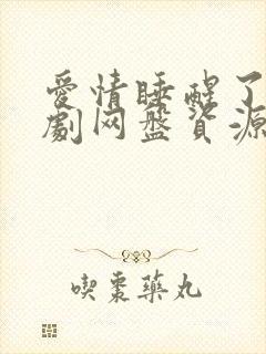 爱情睡醒了电视剧网盘资源