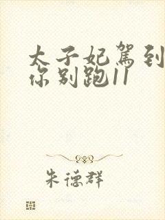 太子妃驾到总裁你别跑11