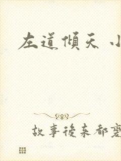 左道倾天 小说