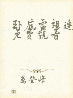 卧底电视连续剧免费观看