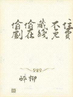 偷偷藏不住电视剧在线免费观看