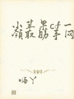 小苹果cf一键领取助手网页版