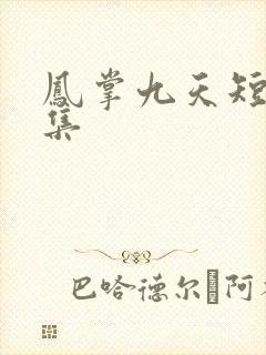 凤掌九天短剧合集