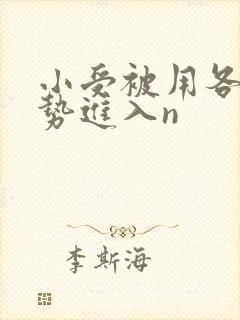 小受被用各种姿势进入n