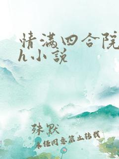 情满四合院同人h小说