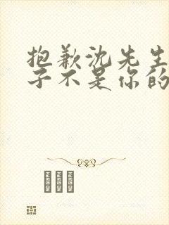 抱歉沈先生,孩子不是你的短剧全集