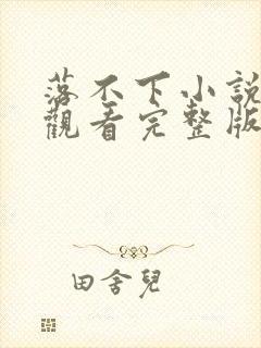 落不下小说免费观看完整版