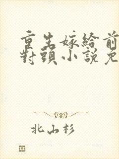 重生嫁给前夫死对头小说免费阅读