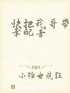 快把我哥带走万幸配音
