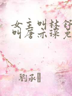 女主叫林舒男主叫唐亦琛免费阅读